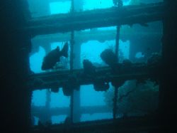"Promenade Deck" Whilst penetrating the hull of the S.S P... by Damien Preston 